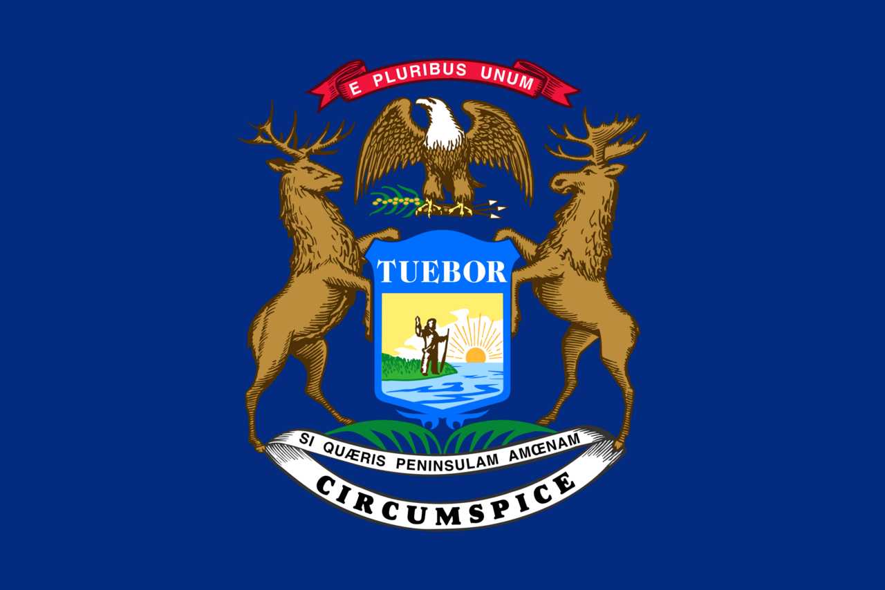 Washington State flag