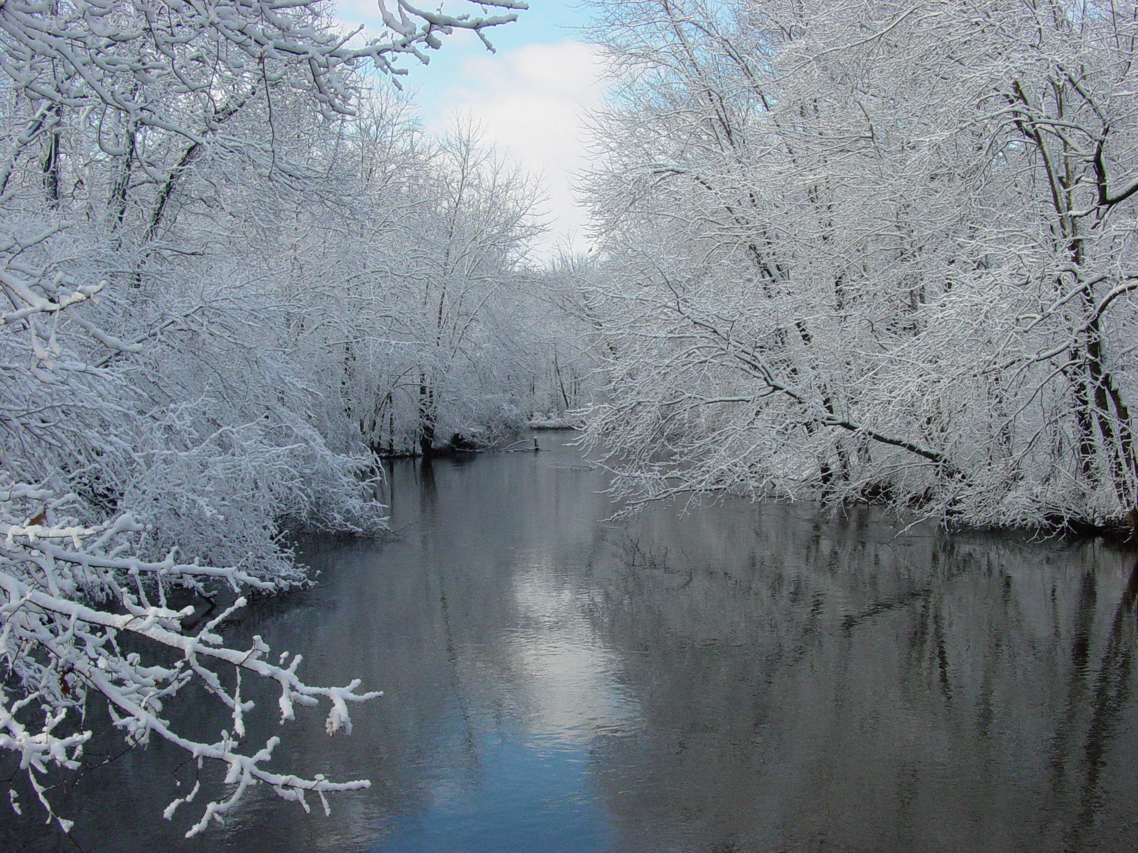 Paw Paw River