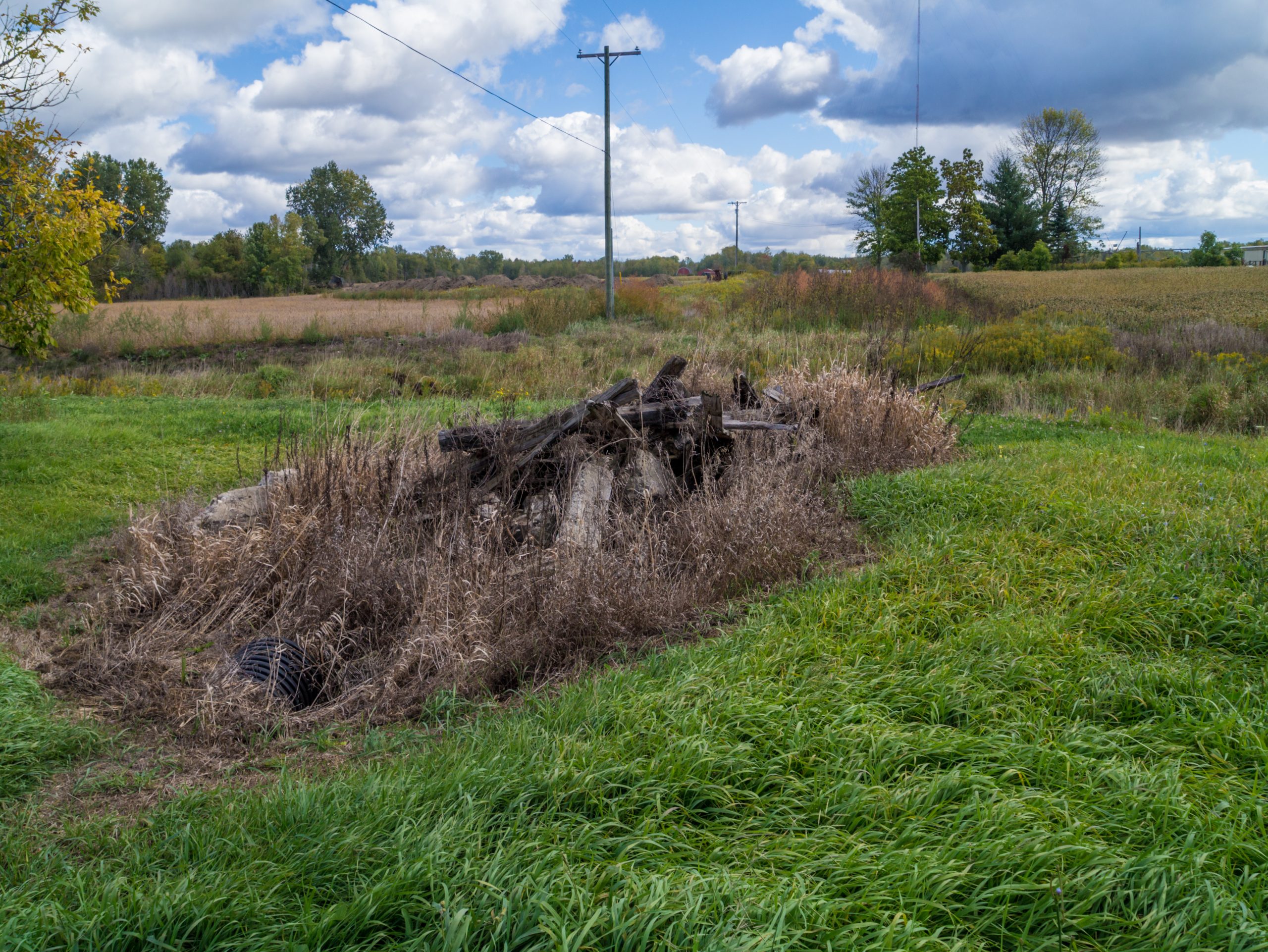 Ruins of the Ball Rd. Bridge