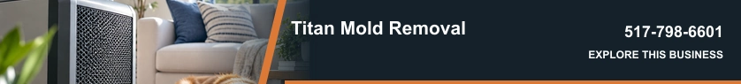 Titan Mold Removal — banner
