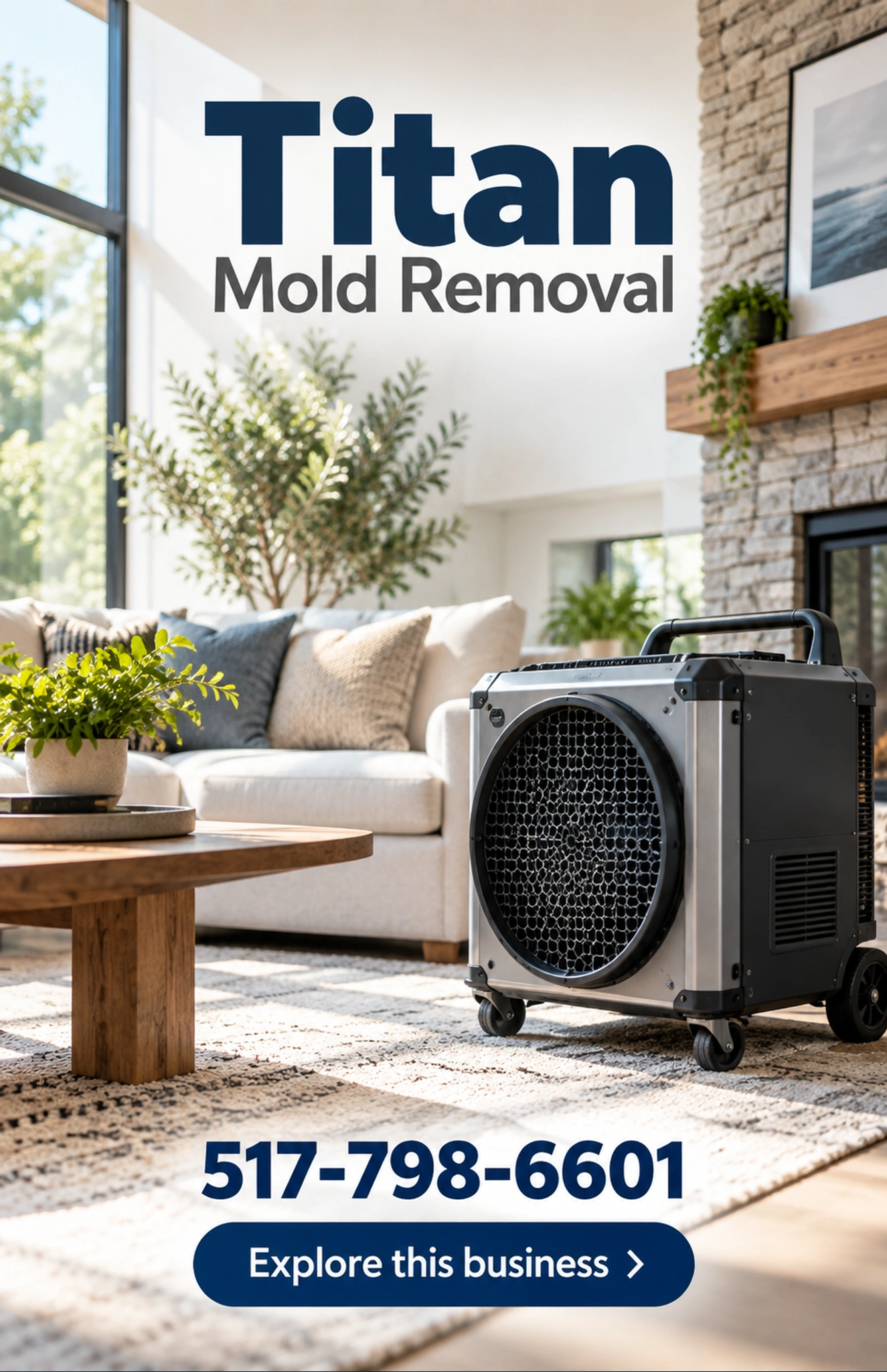 Titan Mold Removal — county ad