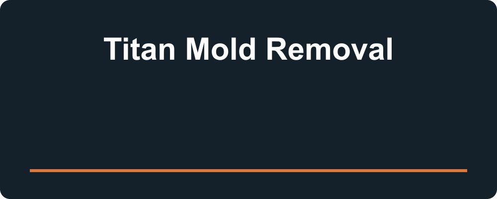 Titan Mold Removal — logo